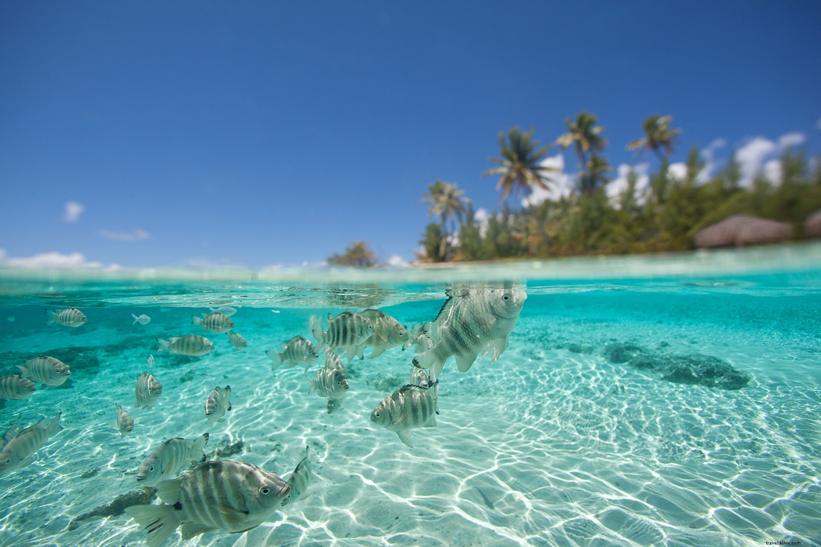 12 Alasan Kepulauan Tahiti Lebih Dari Sekedar Tempat Yang Indah 